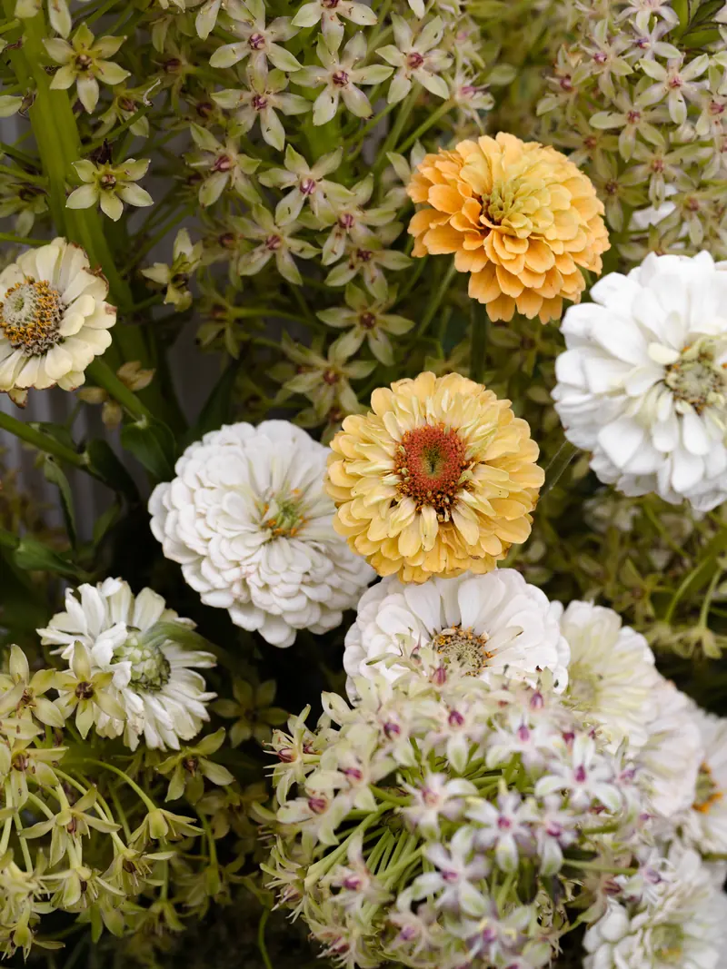 Garden-gathered wedding florals, up close.